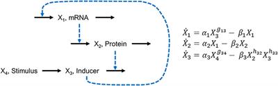 Discrete Biochemical Systems Theory